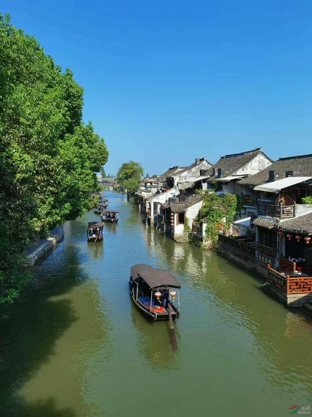 首播将至!张嘉译领衔,全员演技派,导演实力不俗,颇具爆款潜质